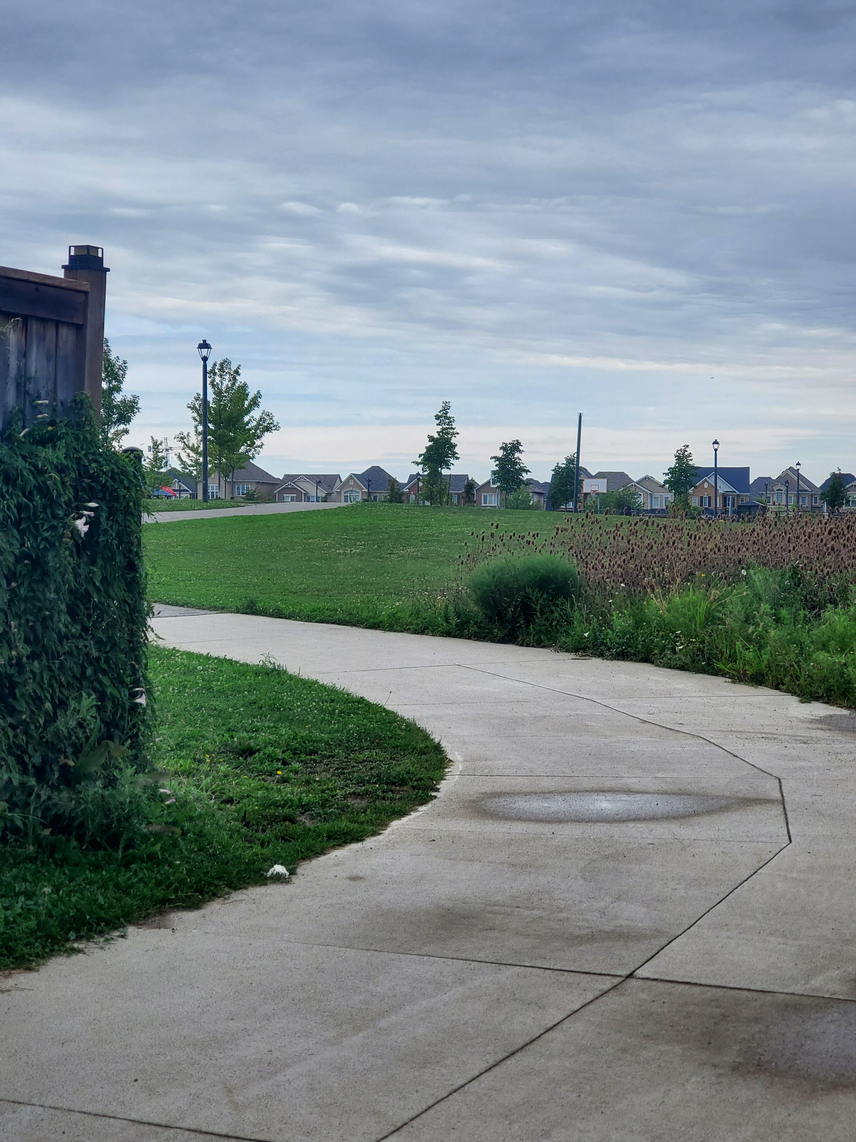 A paved pathway curving through a green area with residential buildings in the background.