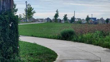 A paved pathway curving through a green area with residential buildings in the background.