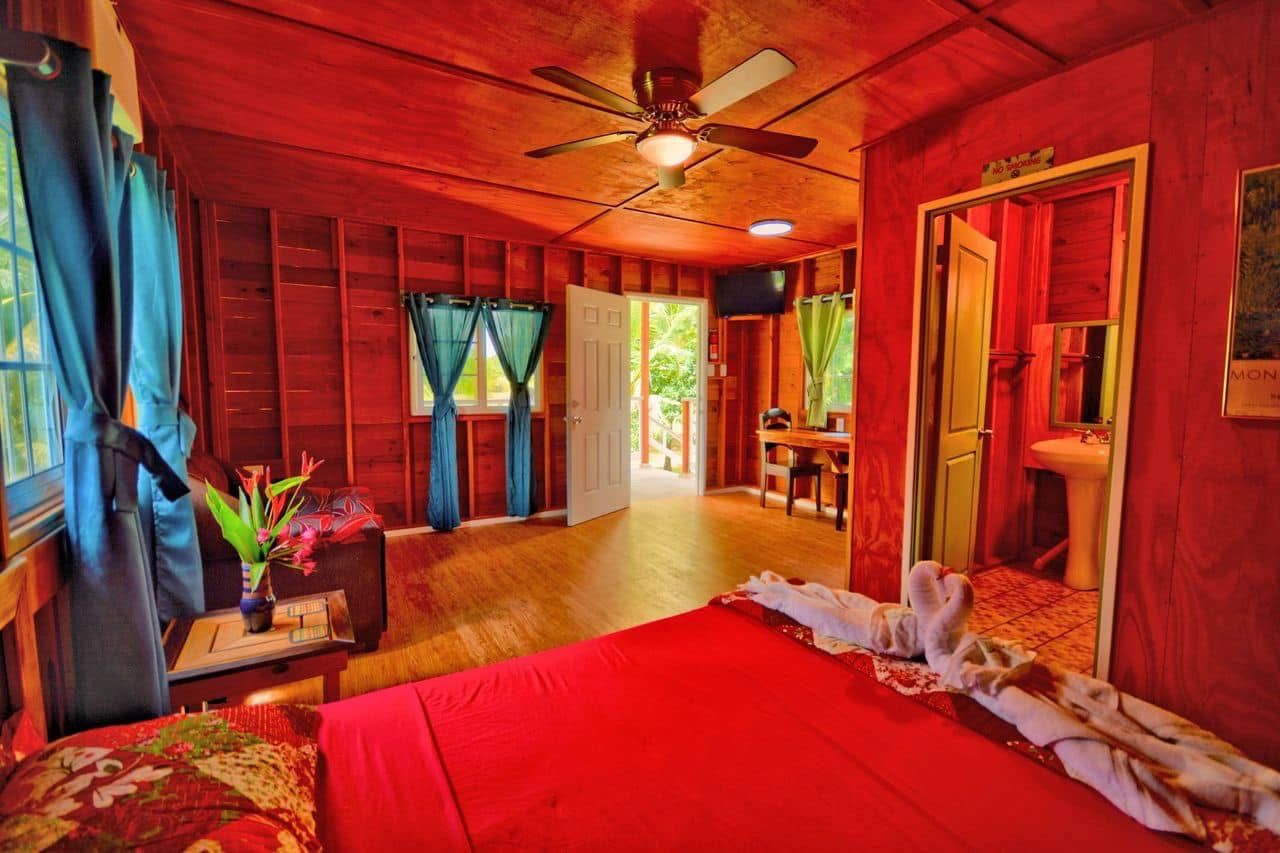 A room with a bed, a desk, a chair, a ceiling fan, and a door leading to another room.