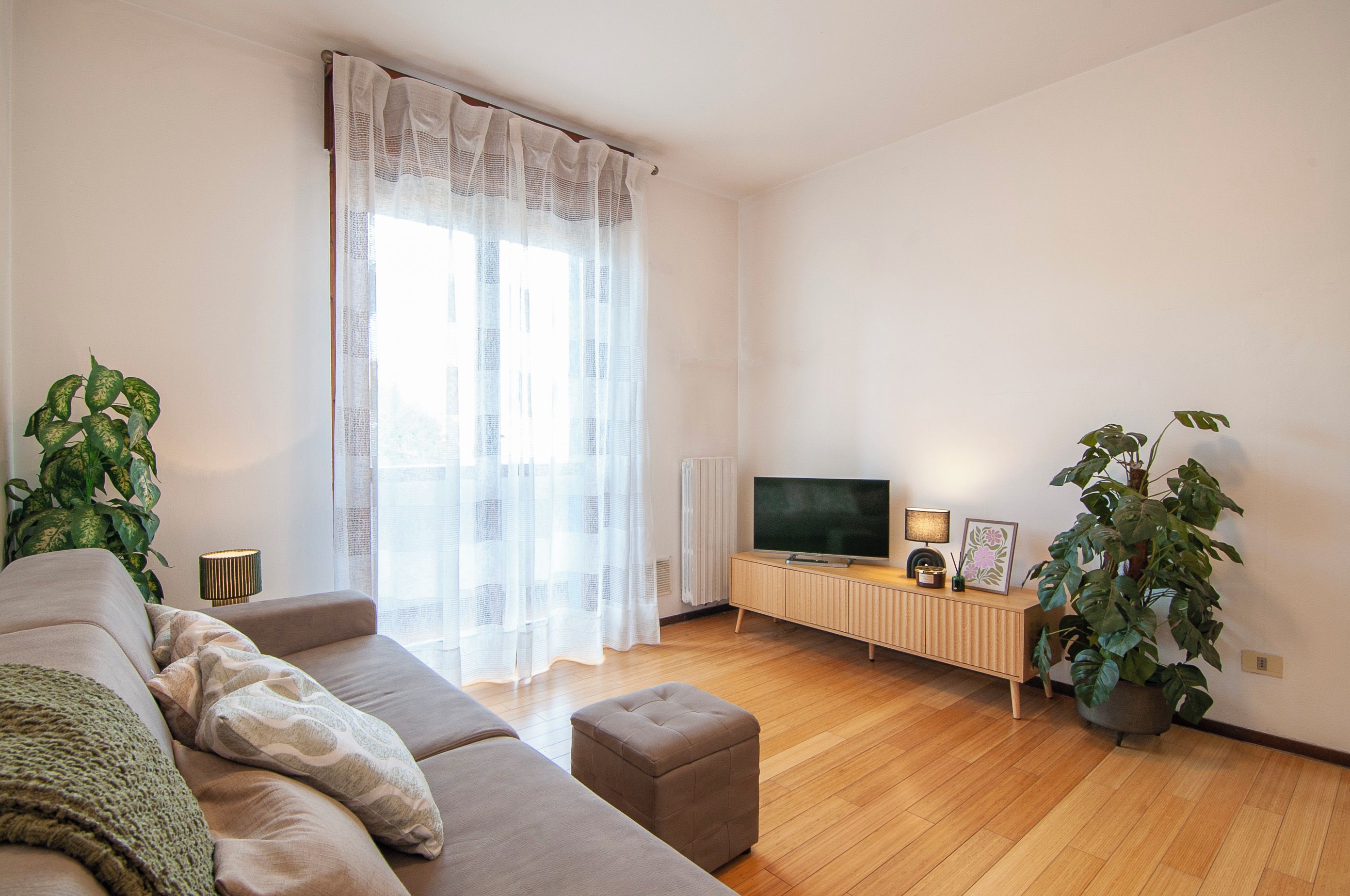 Ein Wohnzimmer mit einer Couch, einem Fernseher auf einem Holzständer und Topfpflanzen.
