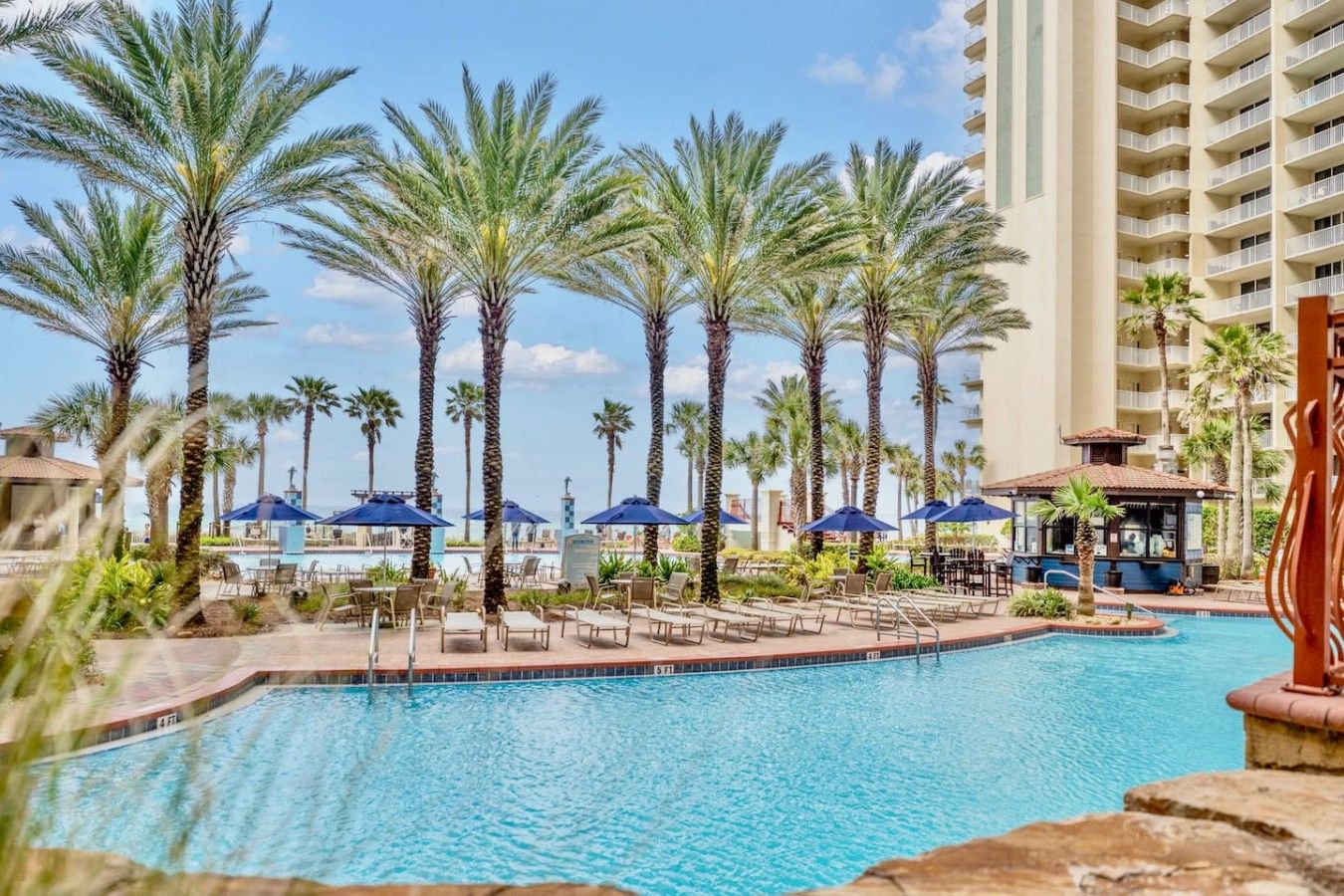 A pool area with palm trees, lounge chairs, and umbrellas.