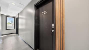 A hallway with a black door marked '203' and a window with a view of greenery.