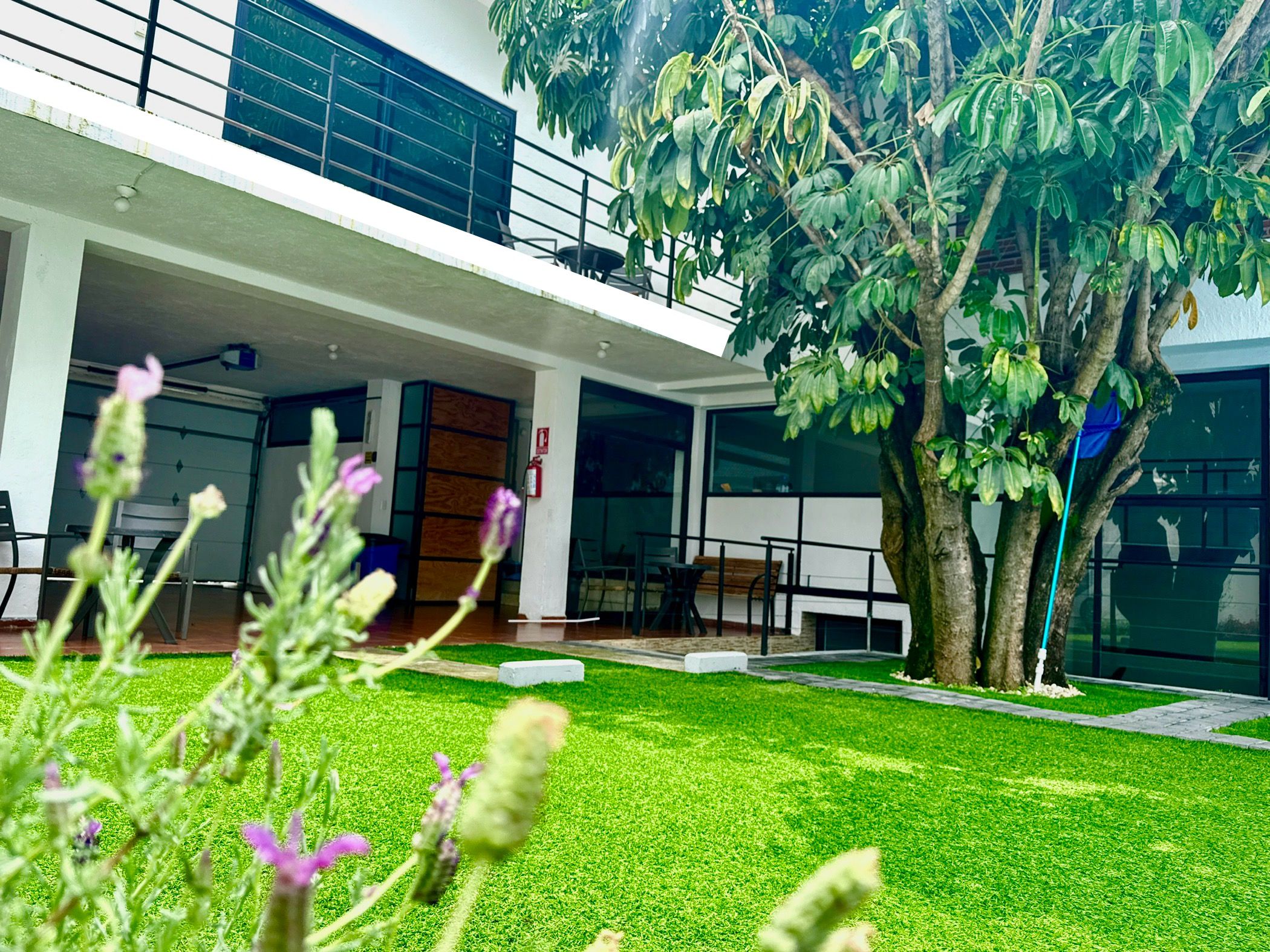 A modern building with a covered outdoor seating area, a well-maintained lawn, and a large tree.