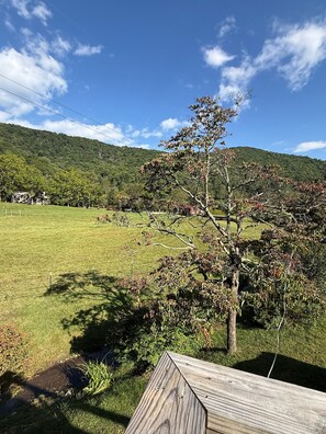 A grassy field with a wooden deck, trees, and a house in the background. - MOUNTAINSTEAD 3BD Glenville-Cashiers Farmhouse Big views creek waterfall donkeys (Glenville)