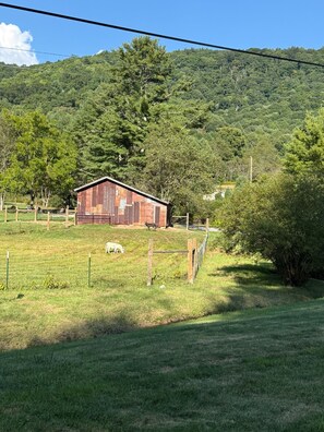 Una fattoria rurale con un recinto pascolato in primo piano e una collina boscosa sullo sfondo.