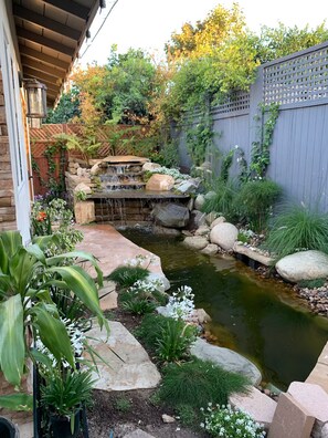 A garden with a pond, rocks, and plants. - Bright and Cozy Retreat near Sony Studios (Culver City)