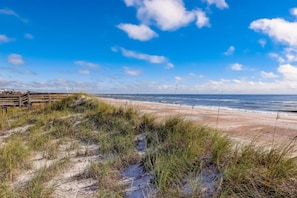 Ein Strand mit Sand, Gras und einem Holzzaun.