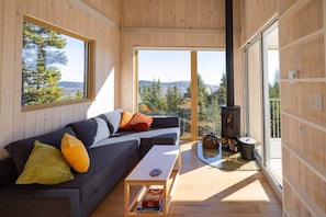 A modern interior with a sofa, a coffee table, and a wood-burning stove.