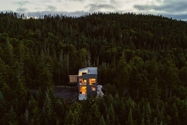 A modern cabin with a flat roof, surrounded by dense forest.