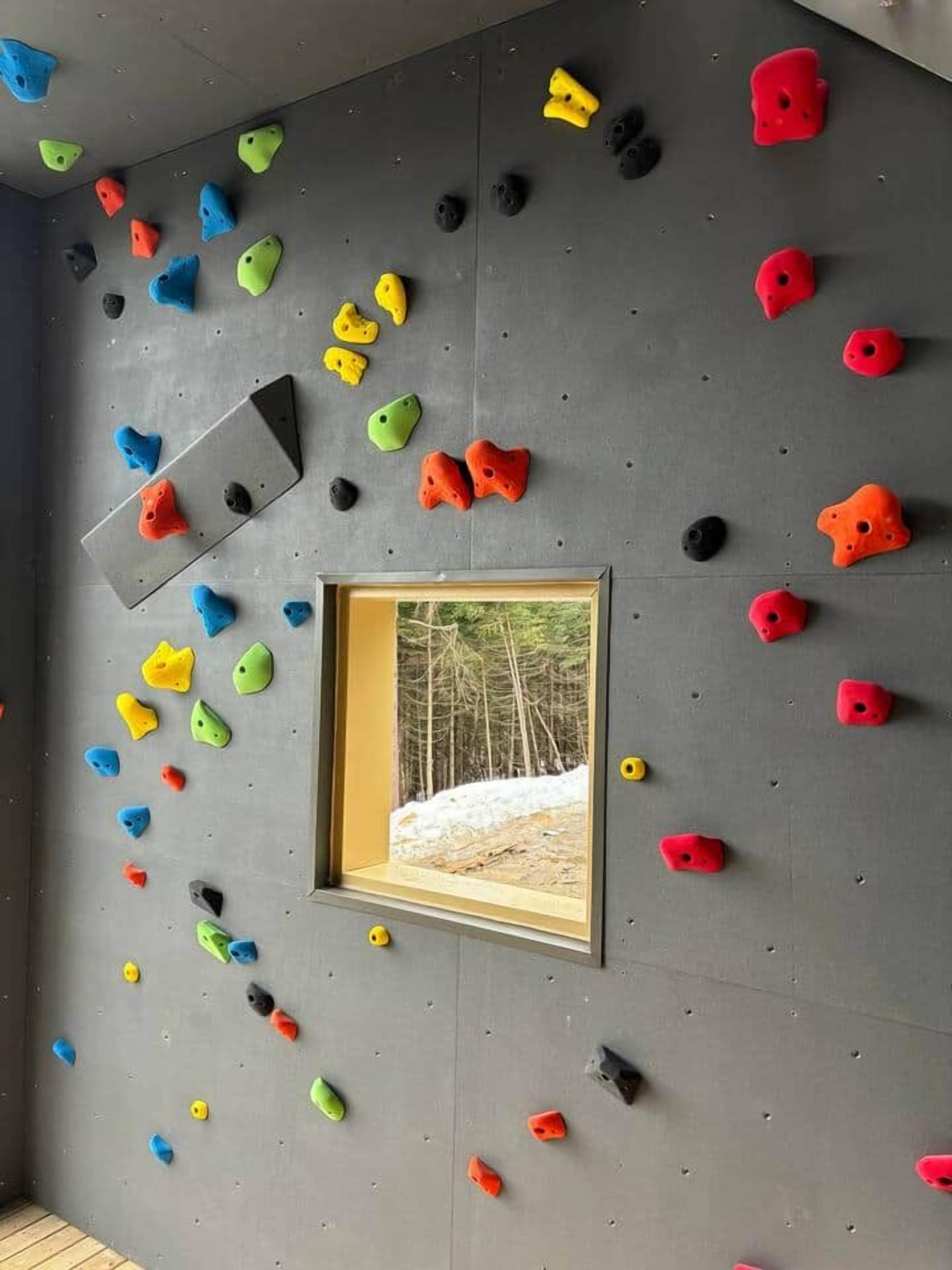 Un mur d’escalade avec des prises de différentes couleurs et une photo encadrée représentant un paysage enneigé.