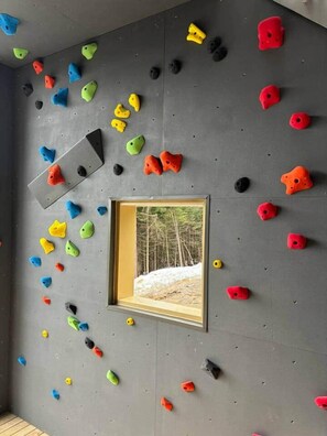 A climbing wall with various colored holds and a framed picture of a snowy landscape.