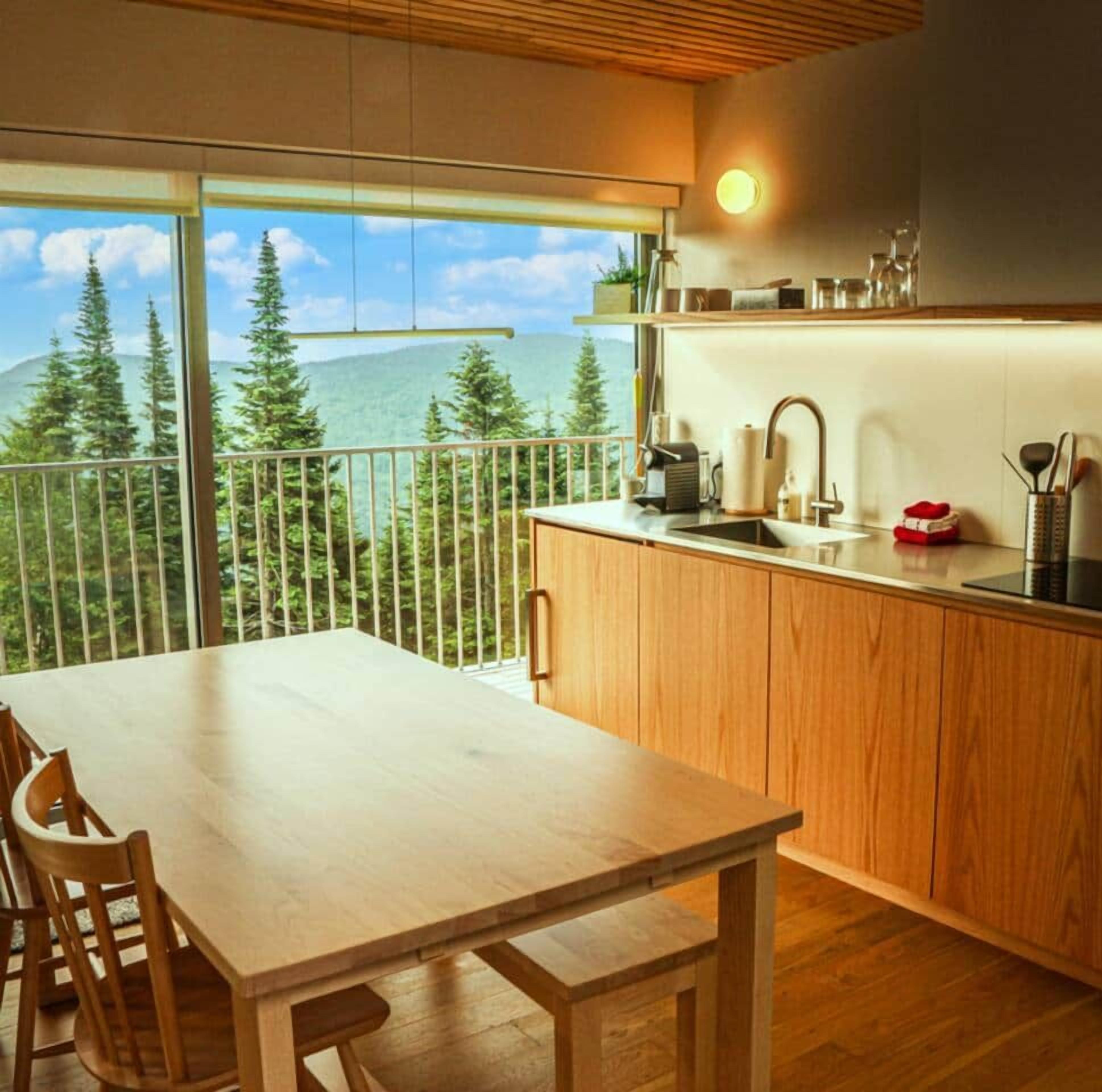 Une cuisine moderne dotée d’une grande fenêtre donnant sur une zone boisée.