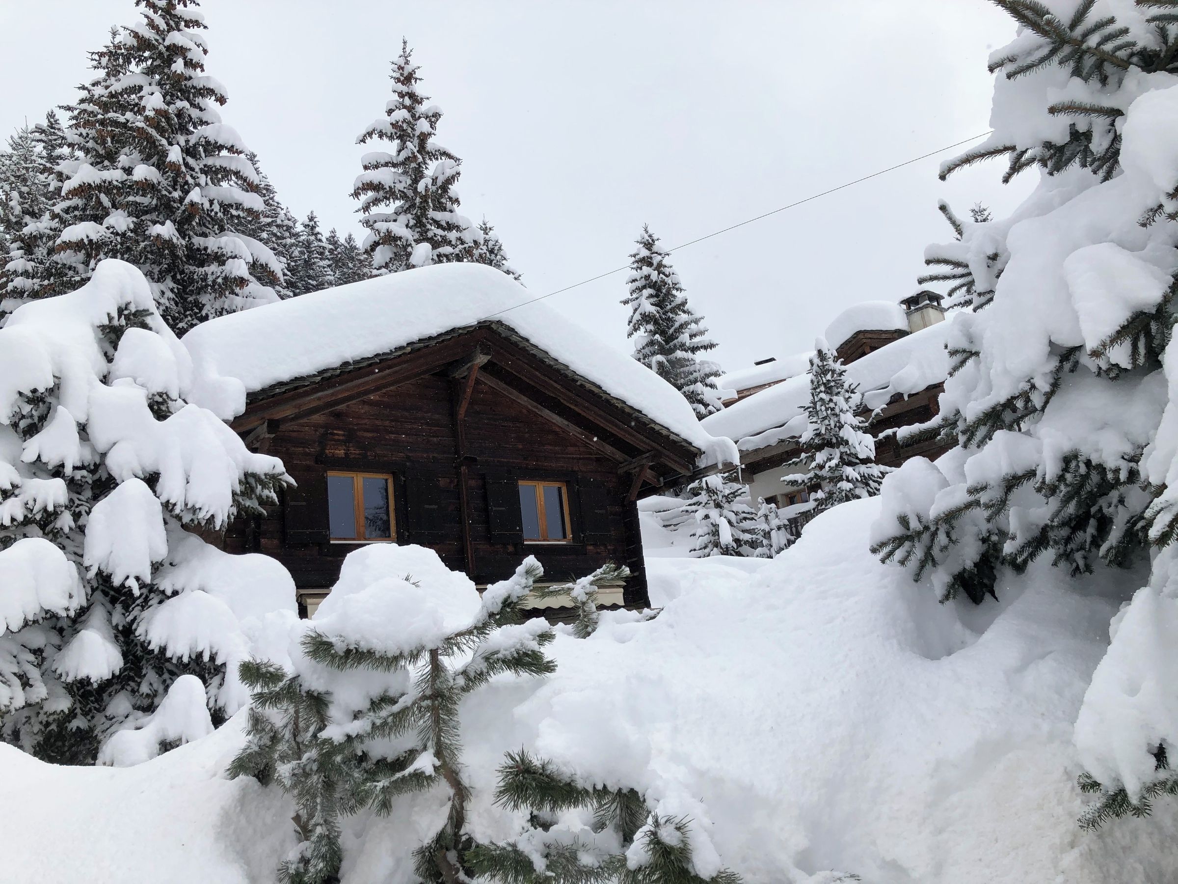 Une cabane en bois entourée d’arbres couverts de neige.