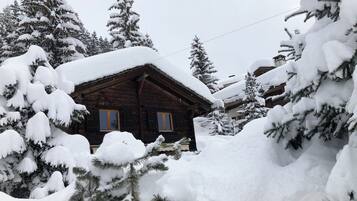 Une cabane en bois entourée d’arbres couverts de neige.