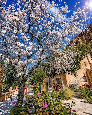 Un árbol con flores rosadas frente a un edificio de fachada de ladrillo.