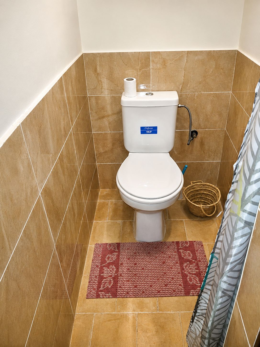 A bathroom with a toilet, a shower, and a patterned rug.