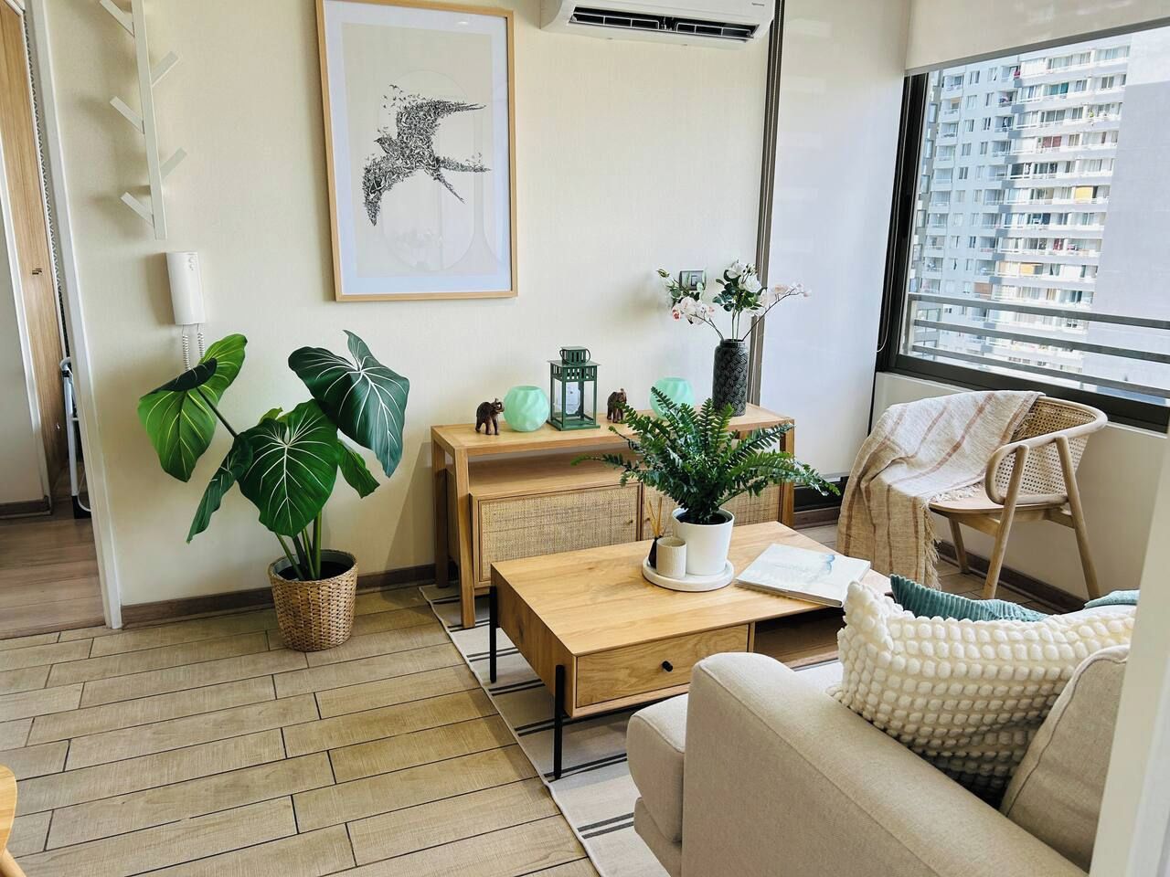 A modern living room with a sofa, a wooden coffee table, a dining table, and two potted plants.