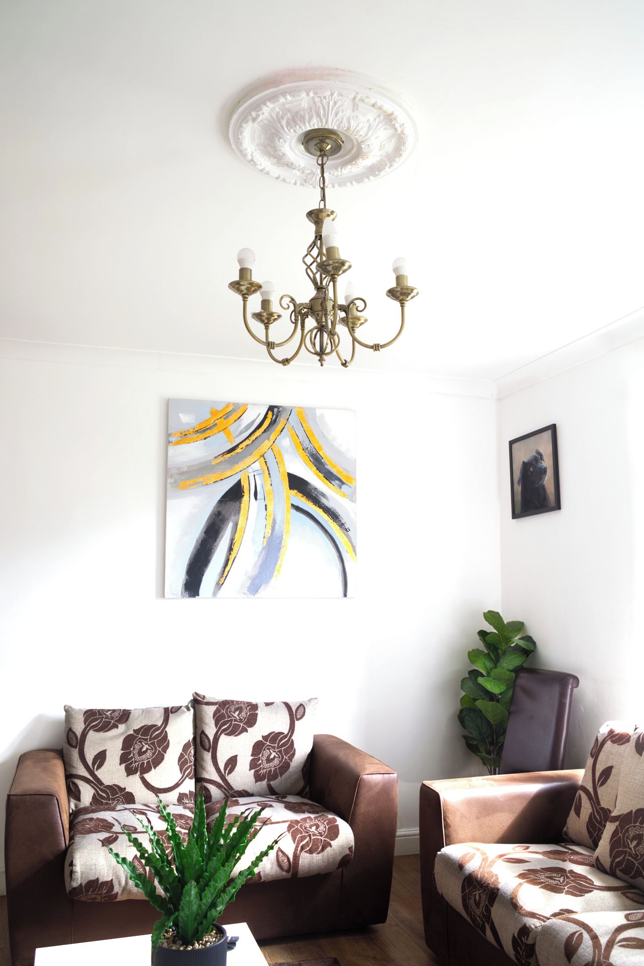 A living room with a brown leather sofa, a patterned armchair, a potted plant, and a chandelier.