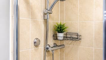 Eine Duschkabine mit Handbrause, am Wand montiertem Wasserhahn und einer kleinen Ablage mit einer Pflanze.