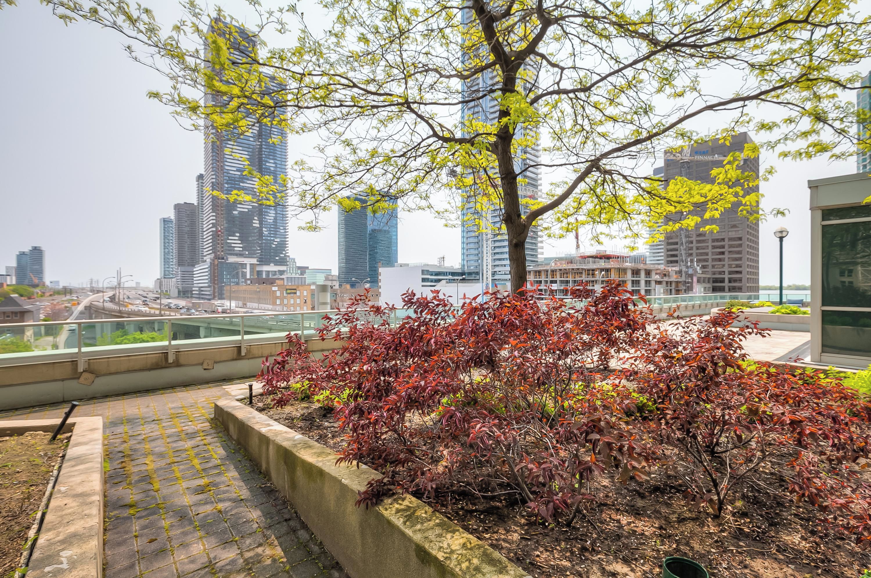 A rooftop garden with a view of modern high-rise buildings.