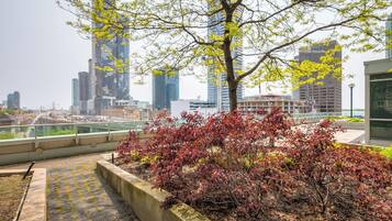 A rooftop garden with a view of modern high-rise buildings.