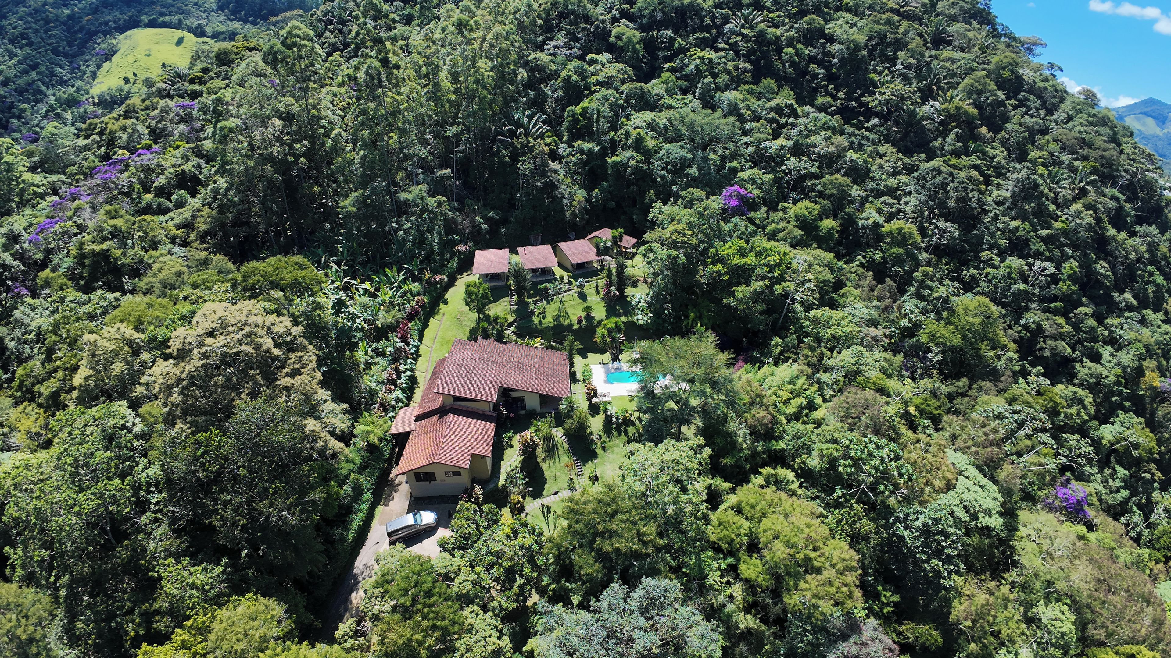 A house with a swimming pool surrounded by dense forest.