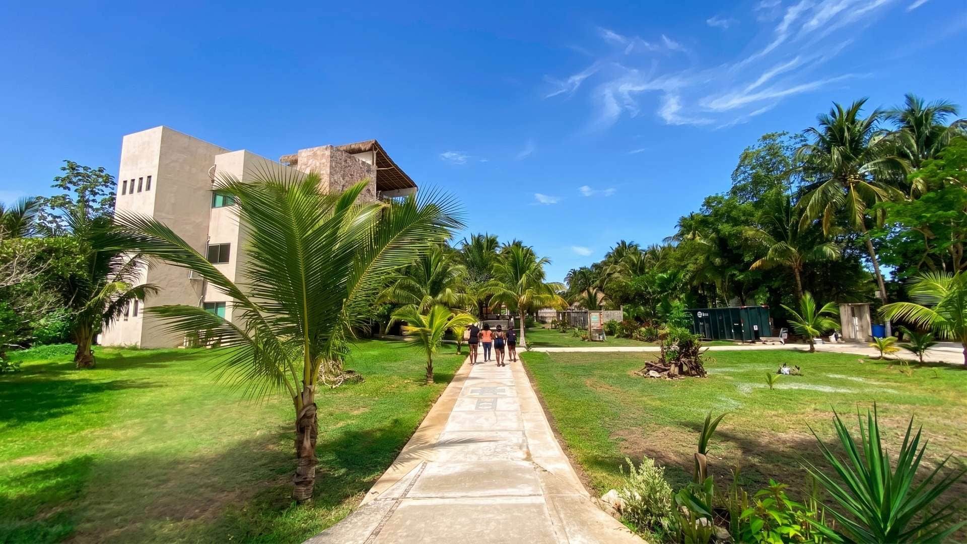 A pathway leading to a building with a modern design, surrounded by lush greenery and palm trees.