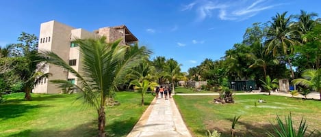 A pathway leading to a building with a modern design, surrounded by lush greenery and palm trees.