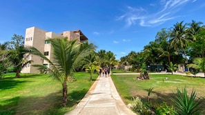 A pathway leading to a building with a modern design, surrounded by lush greenery and palm trees.
