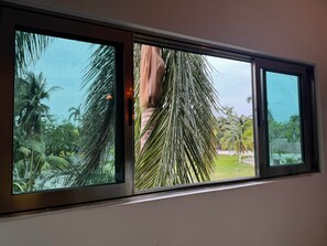 A window with a view of palm trees and a grassy area.