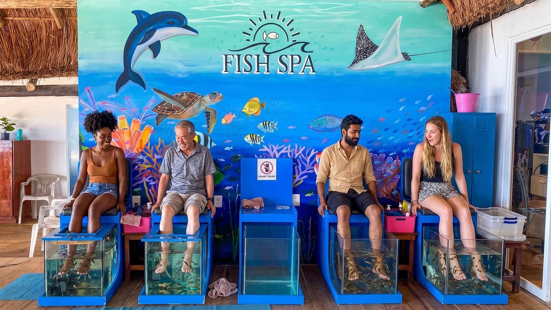 A Fish Spa with four people seated in tubs surrounded by aquariums.