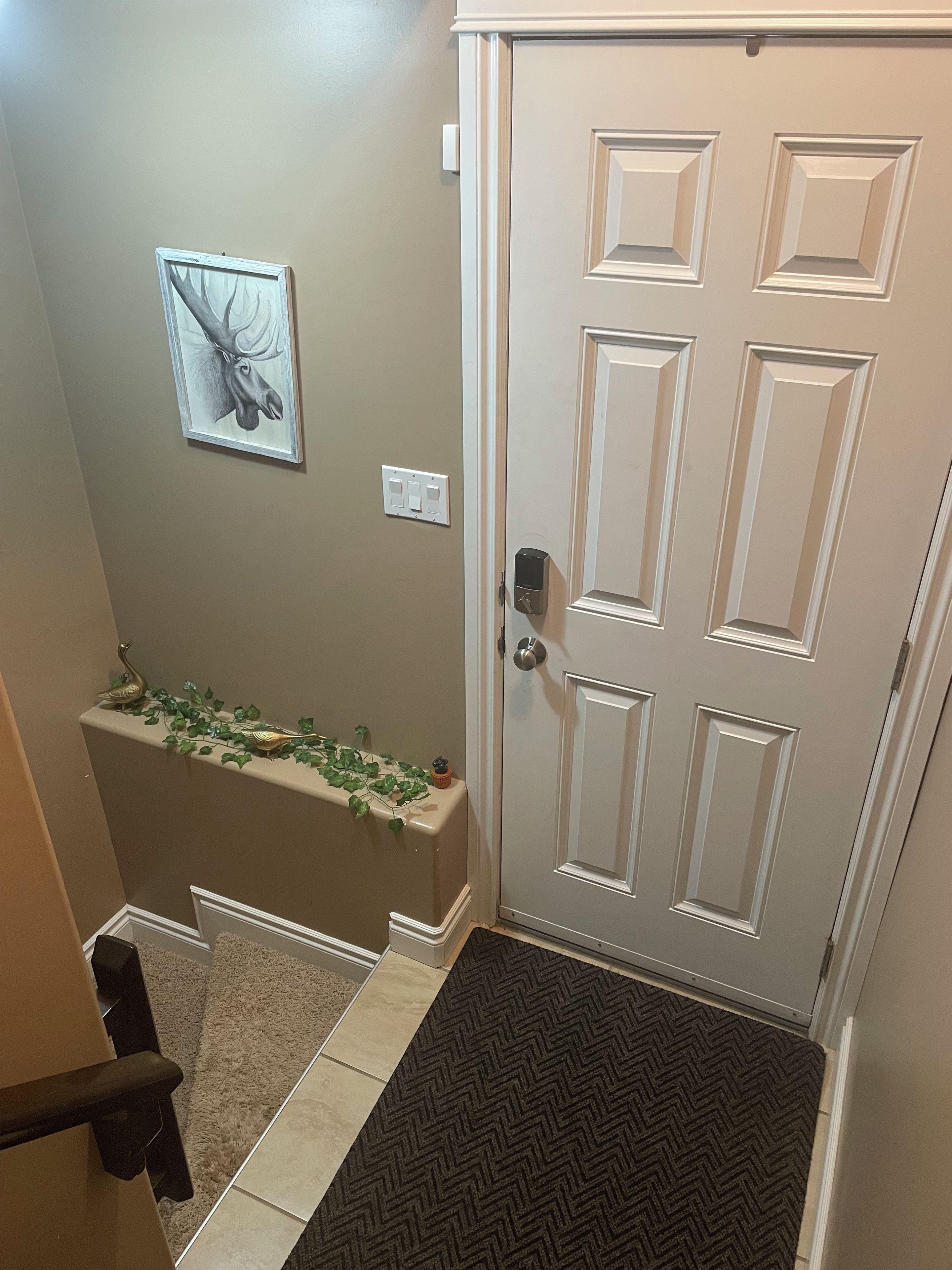 Une porte dotée d’une poignée moderne, un interrupteur fixé au mur et une plante décorative posée sur une étagère.