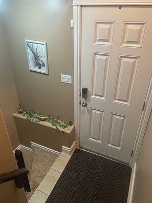A door with a modern handle, a wall-mounted light switch, and a decorative plant on a shelf.
