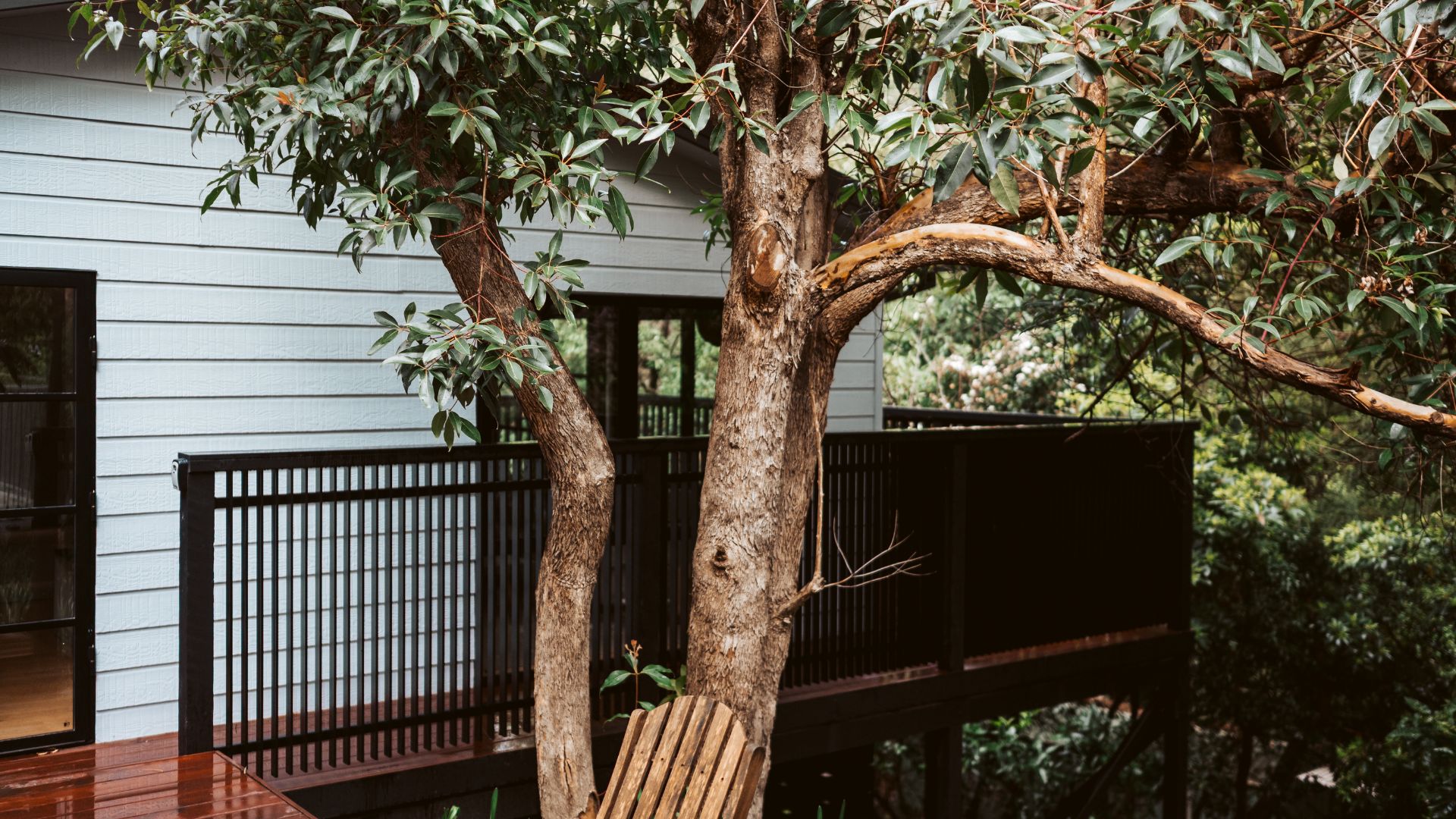 Una terraza de madera con un banco, un árbol y una casa de fachada blanca y barandillas negras.