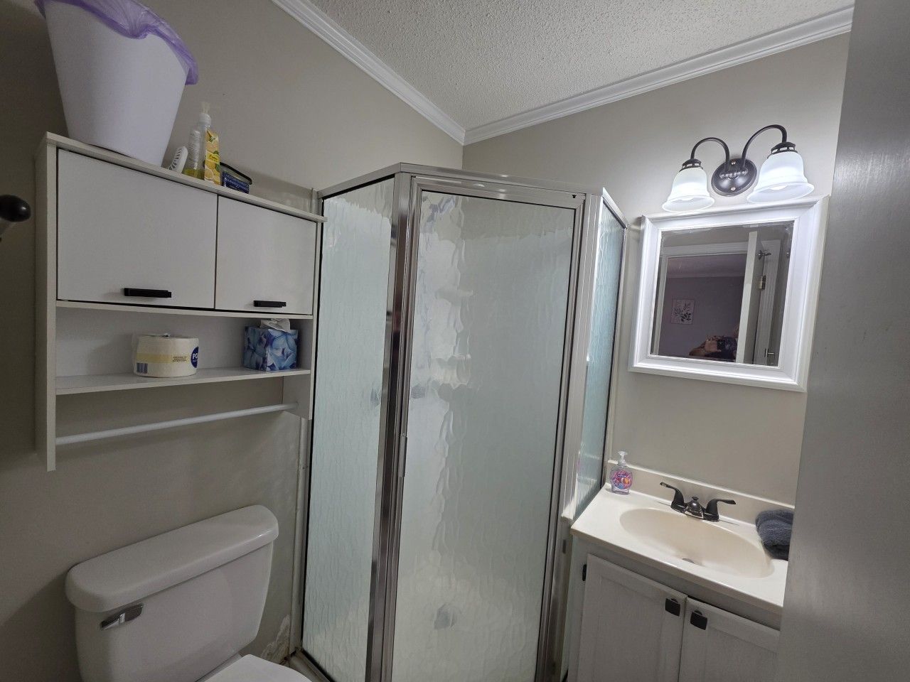 A bathroom with a toilet, a shower enclosure, a sink, and a mirror.