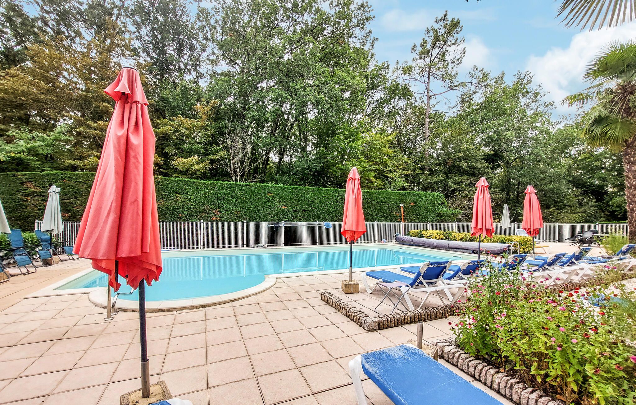 Zona de piscina con sillones de descanso y sombrillas, rodeada por una valla y follaje.