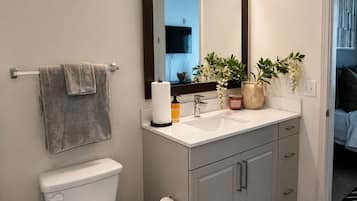 A modern bathroom with a toilet, sink, and mirror.