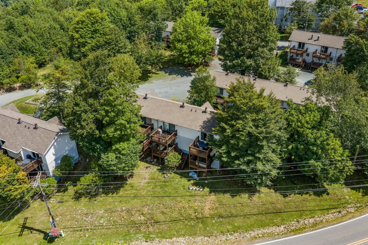 Une vue aérienne d’un quartier résidentiel avec de nombreuses maisons, une rivière et une route.