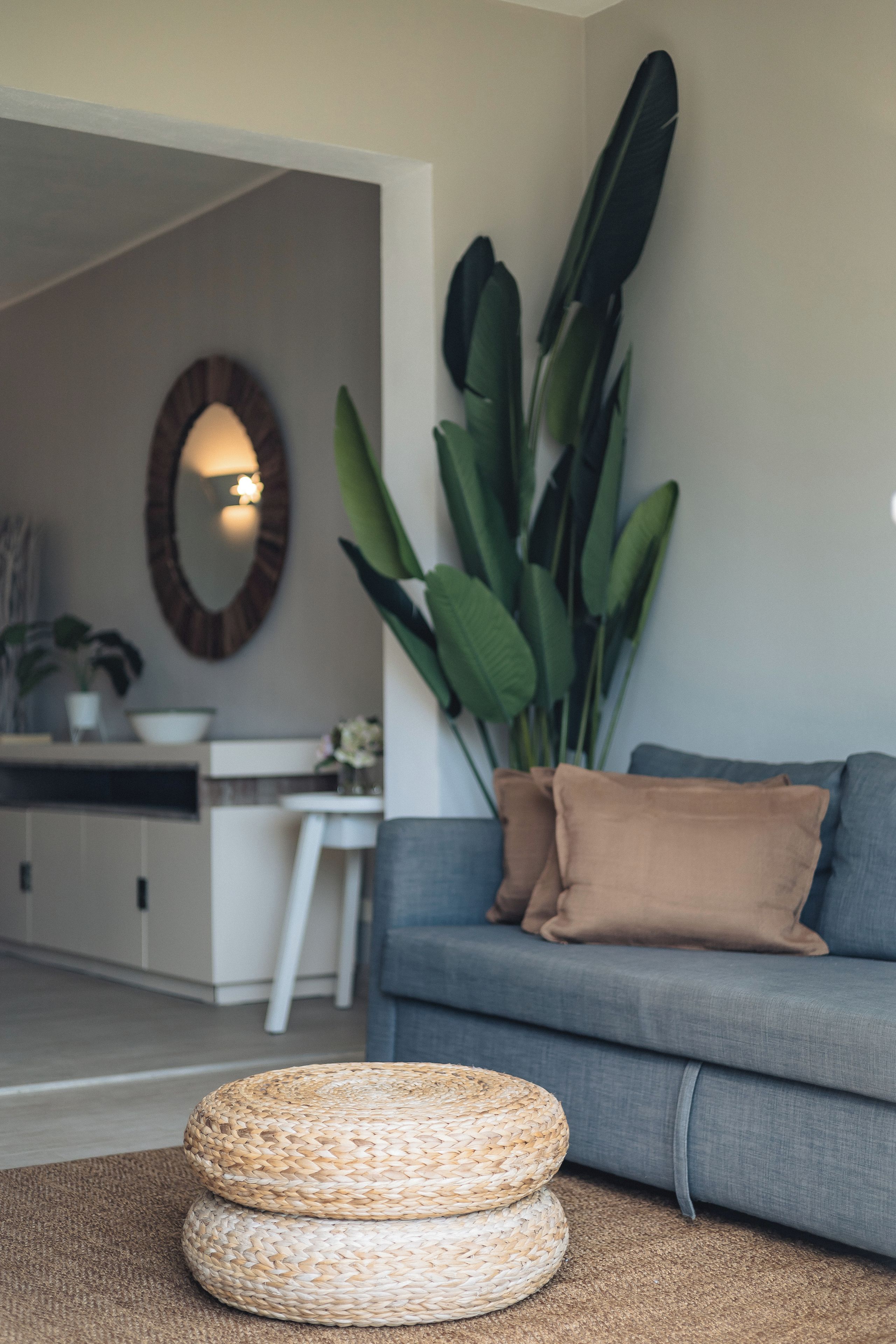 A living room with a grey sofa, a woven ottoman, a large green plant, and a mirror on the wall.