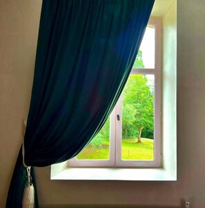 Una ventana con vista a un paisaje verde.