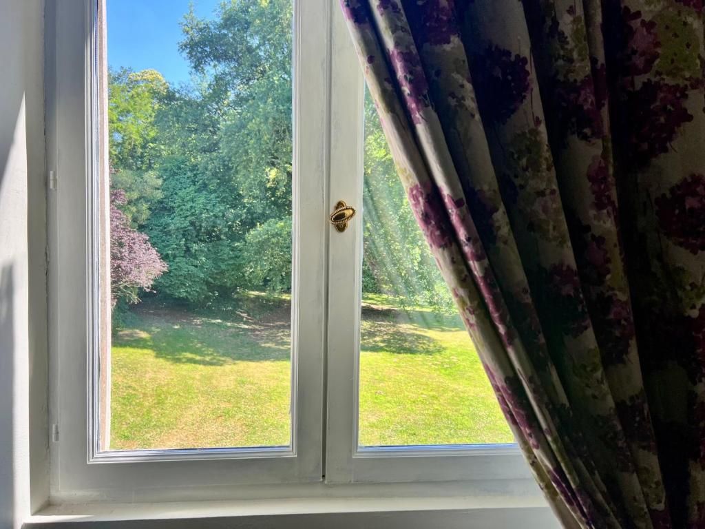 A window with a view of a garden and trees.