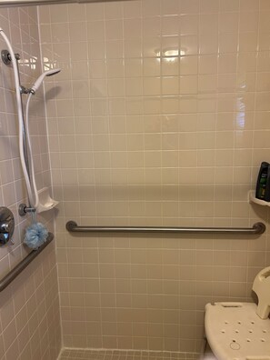 Un bagno con doccia, barra di sostegno e servizi igienici.