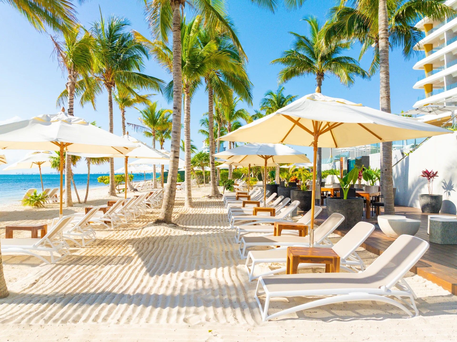 A beachside resort with sun loungers, umbrellas, and palm trees.
