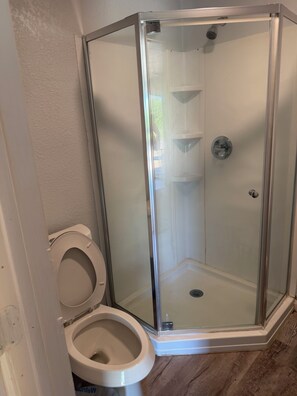 Baño en esquina con ducha envuelta en vidrio, inodoro y piso de madera.