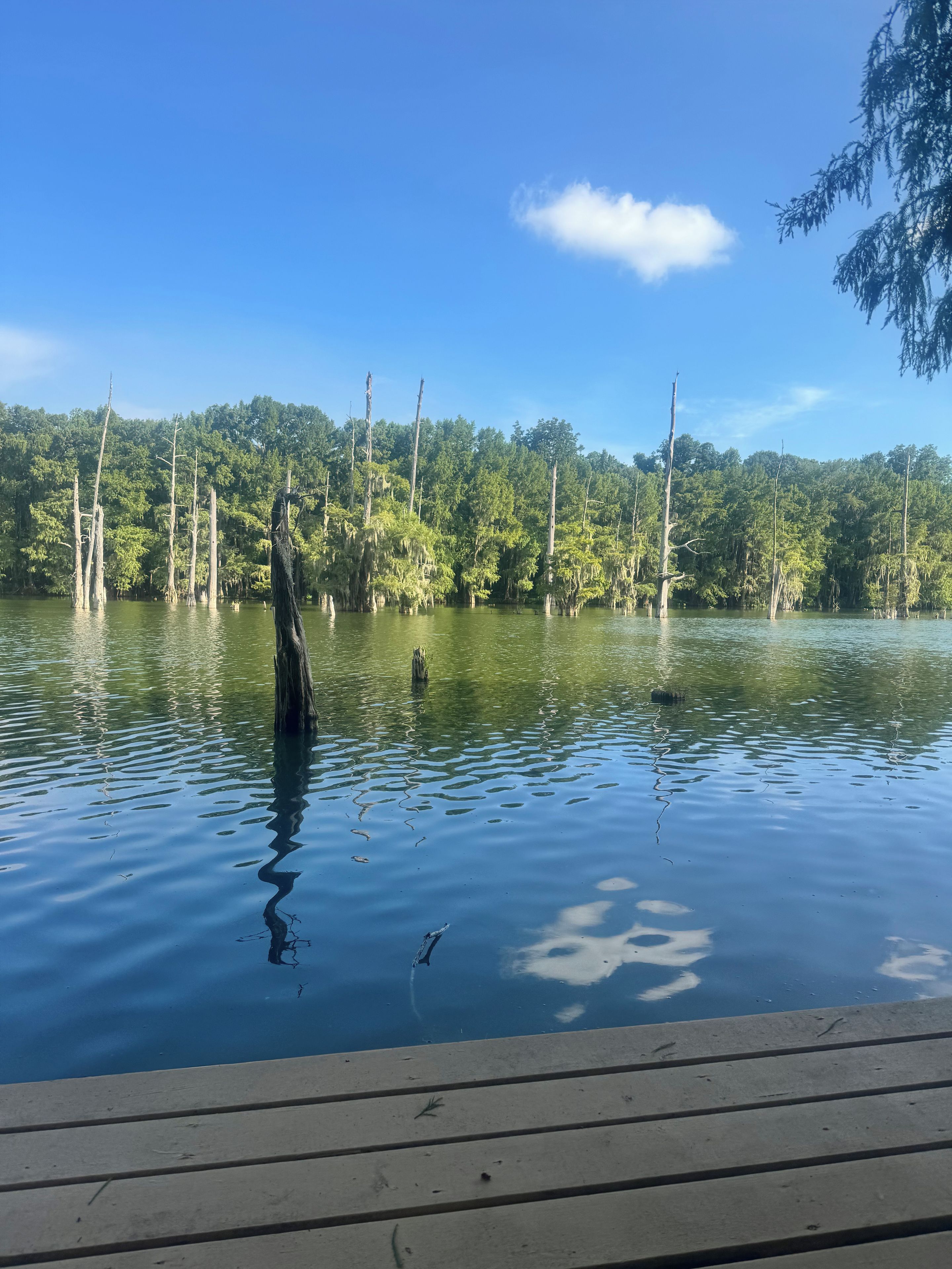 Un lago tranquilo con un muelle de madera en primer plano y una orilla boscosa al fondo.