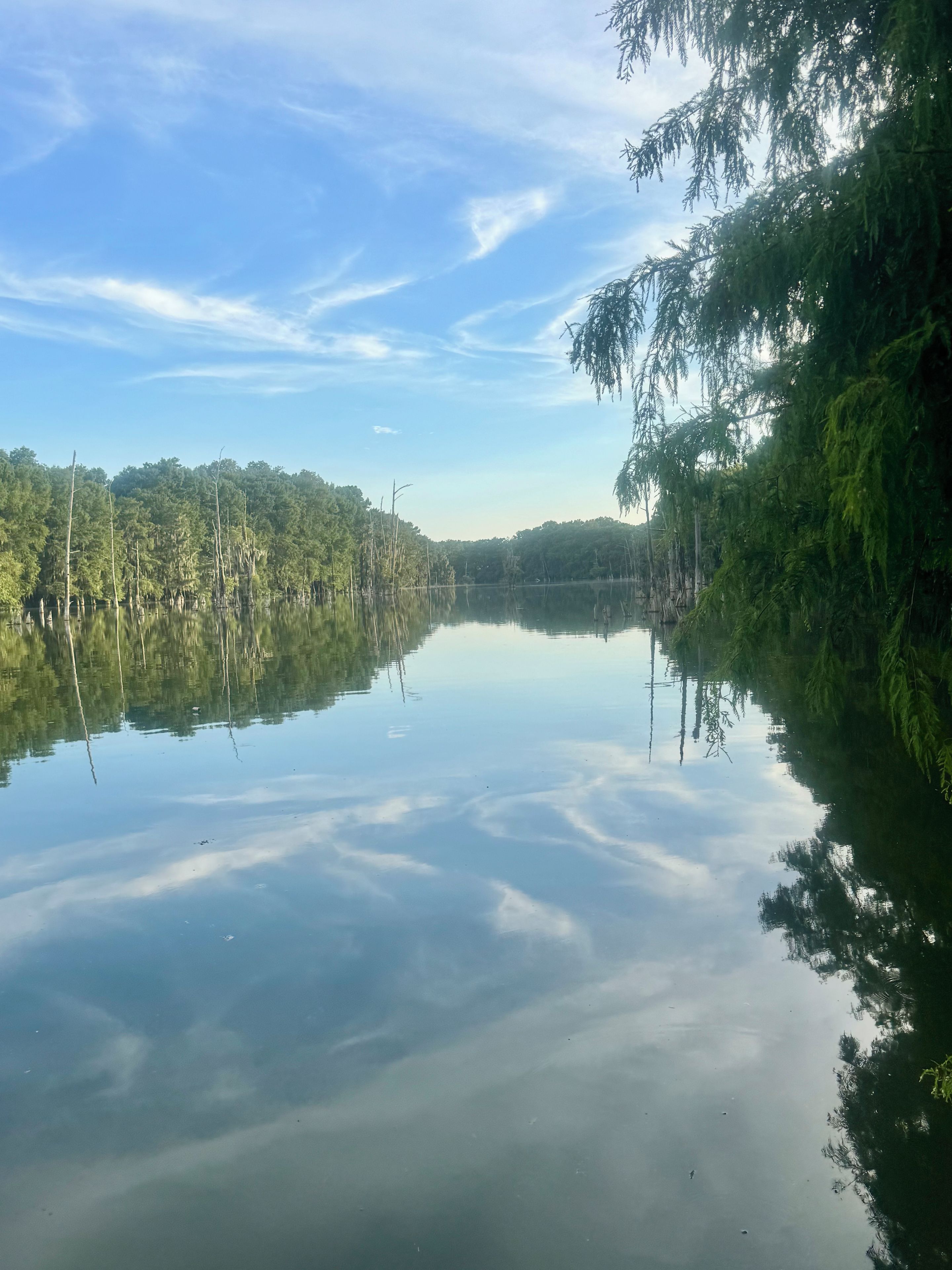 A calm lake with reflections of trees and sky.