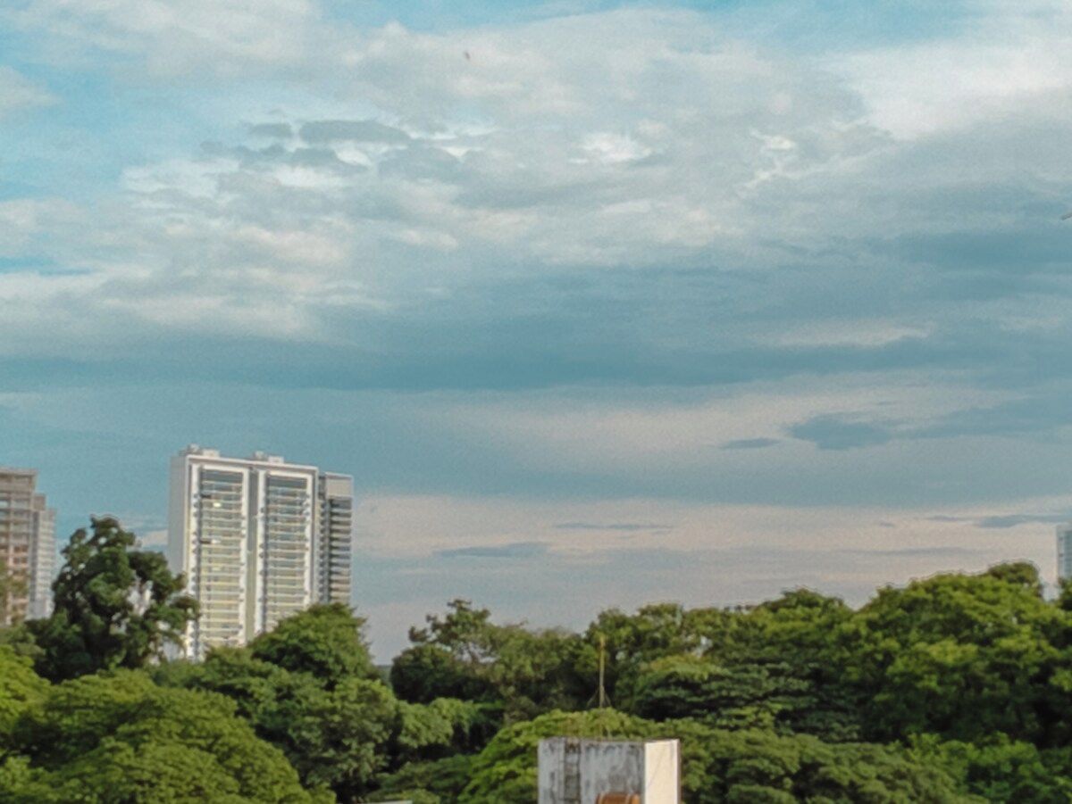 A cityscape with tall buildings and dense green foliage.