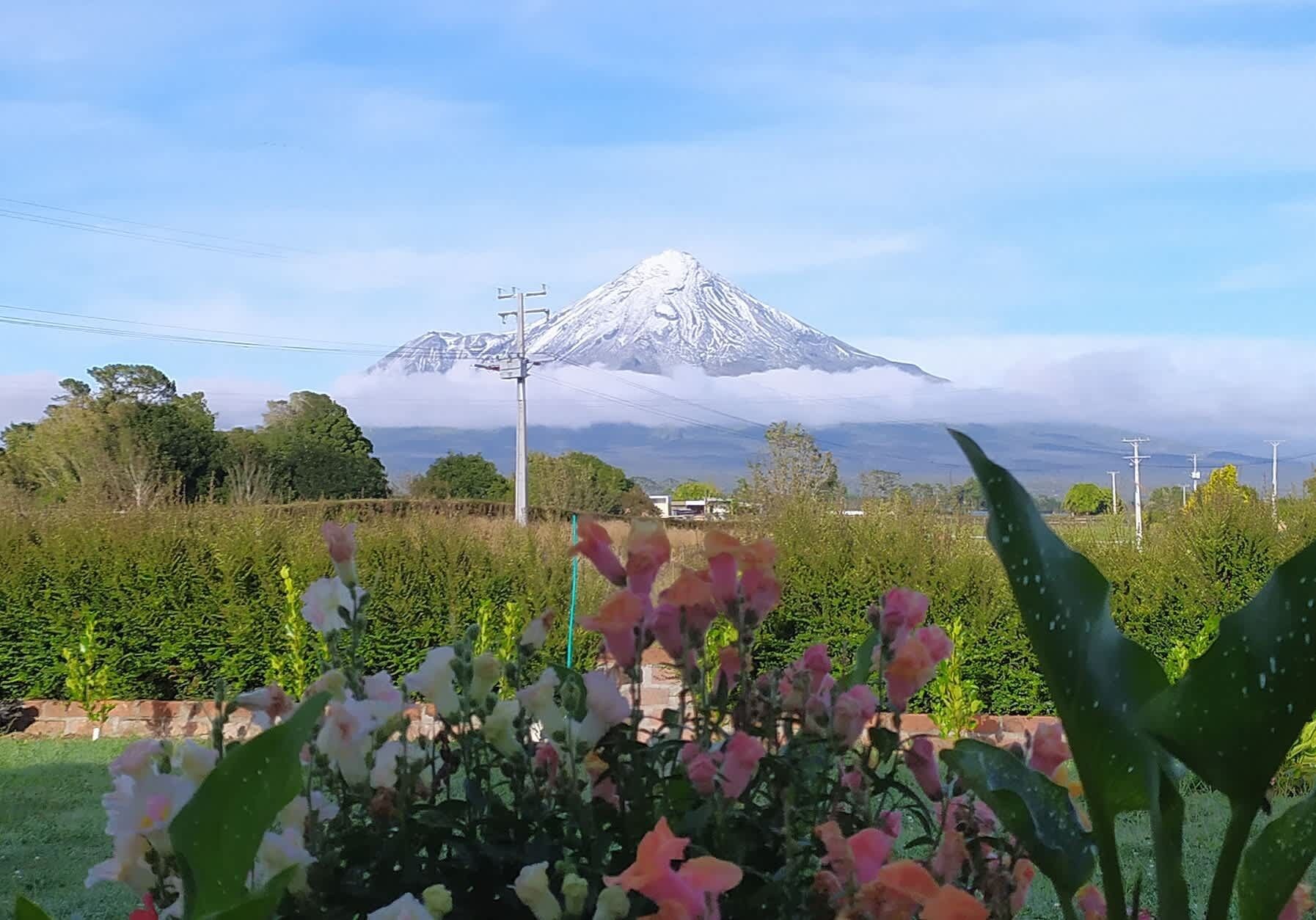 Ein Berg mit schneebedeckter Spitze im Hintergrund, umgeben von Grün und Stromleitungen.