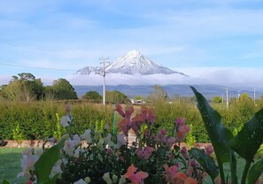 Una montagna con la cima innevata sullo sfondo, circondata da vegetazione e linee elettriche.