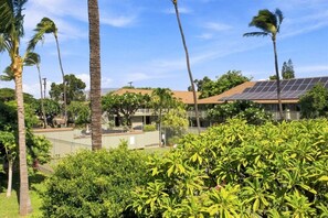 Ein Wohngebiet mit Palmen, einem Haus mit Solaranlage auf dem Dach und einem eingezäunten Garten.